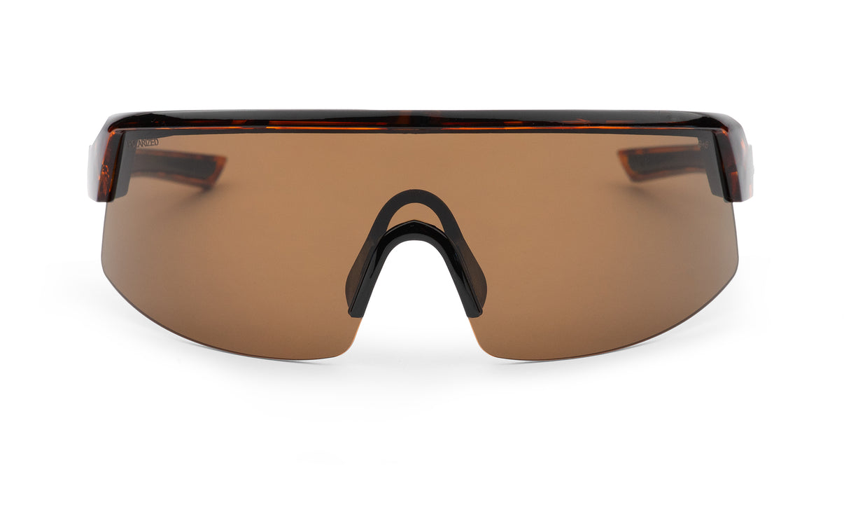 Bomber Rippa: Tortoise (Polorized)