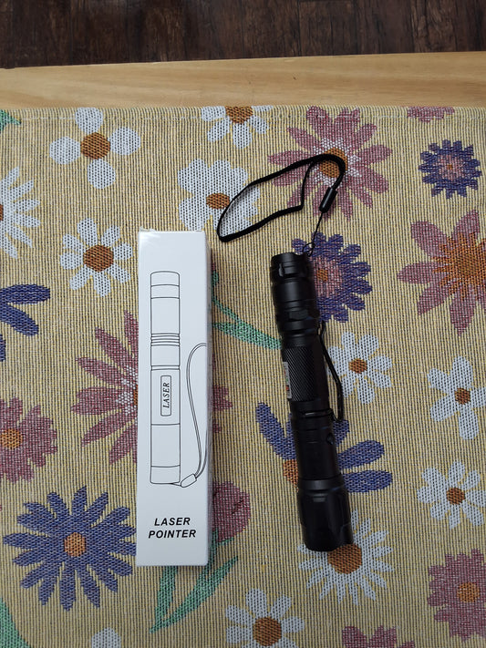 Lazer Pointer