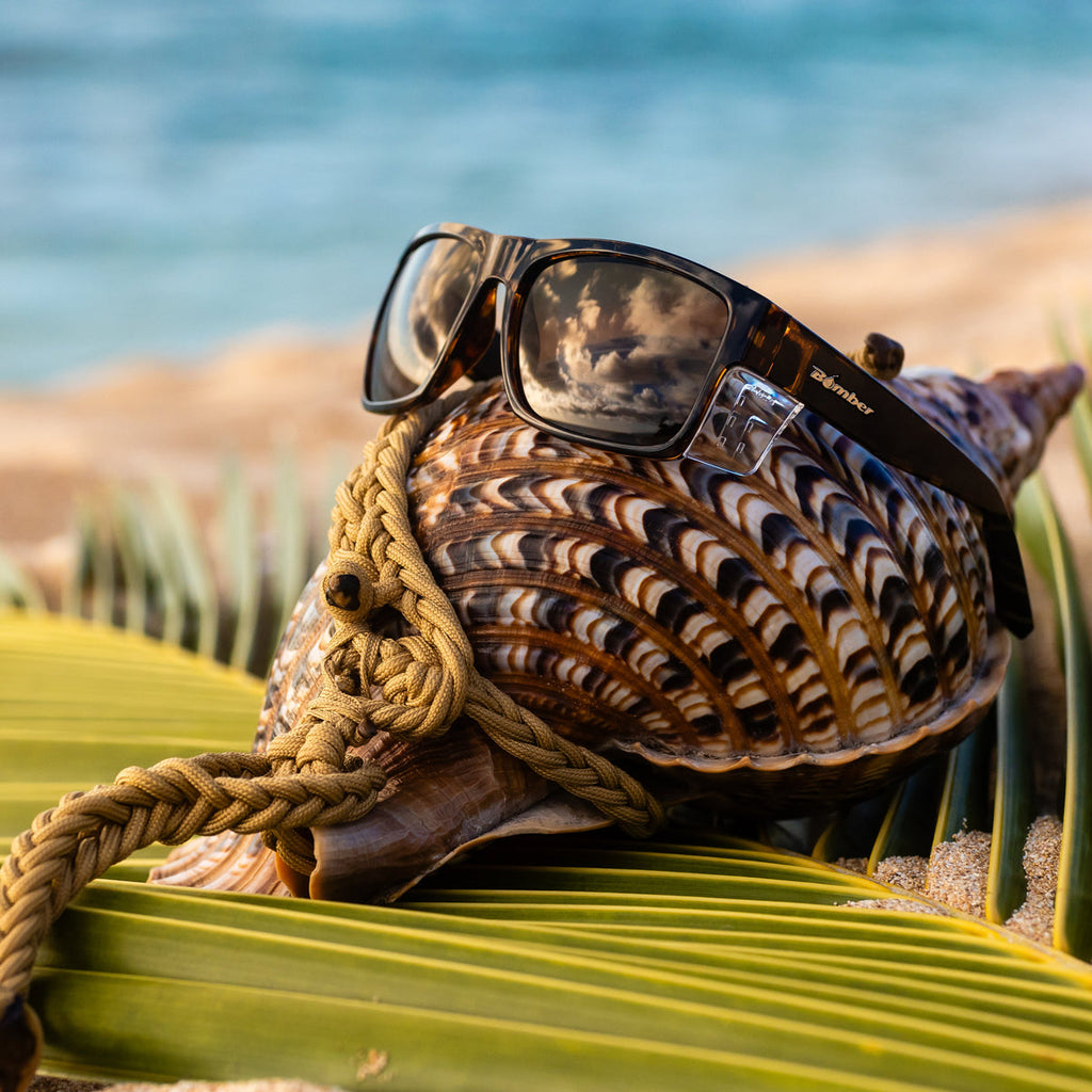 Bomber Clutch: Tortoise Polorized
