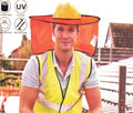 Sun Visor
