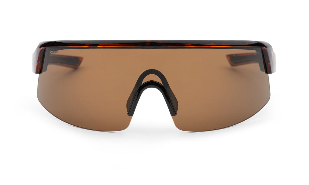 Bomber Rippa: Tortoise (Polorized)
